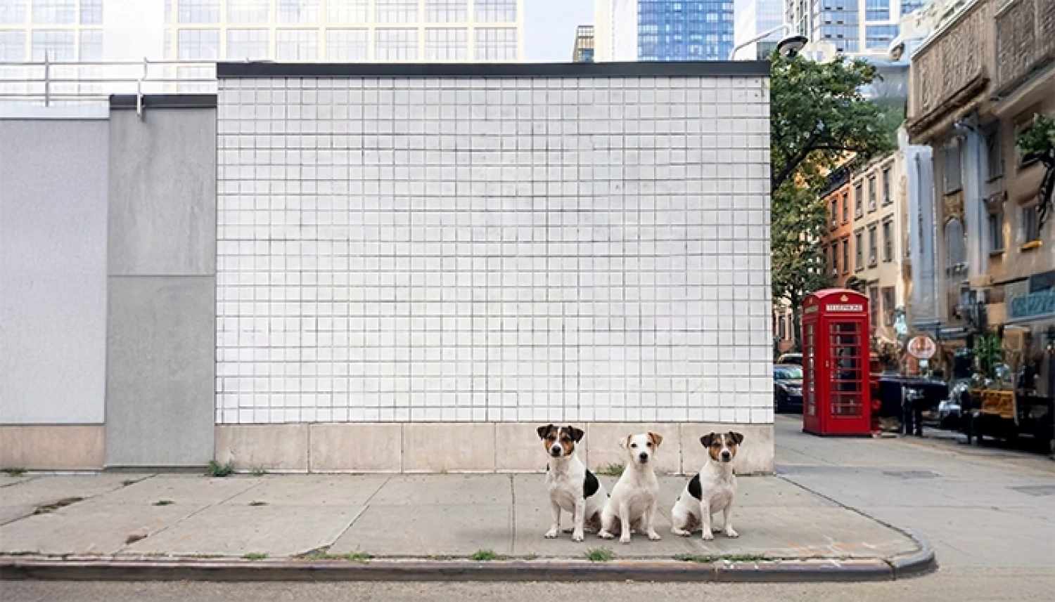 Mas que medios, imagen de cabecera